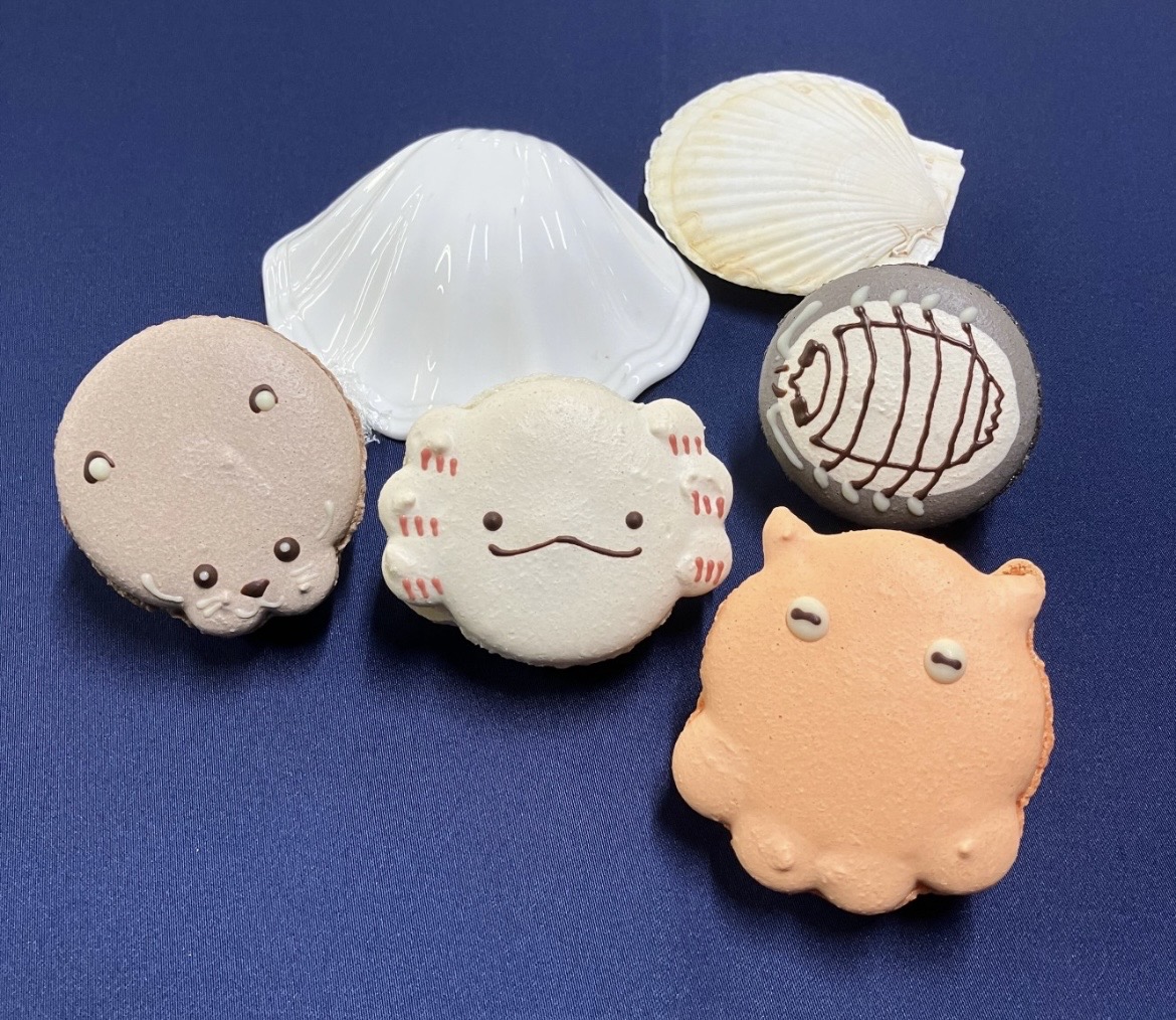 ウェディングエルティ「アニマルマカロン」のお知らせ | 新着情報